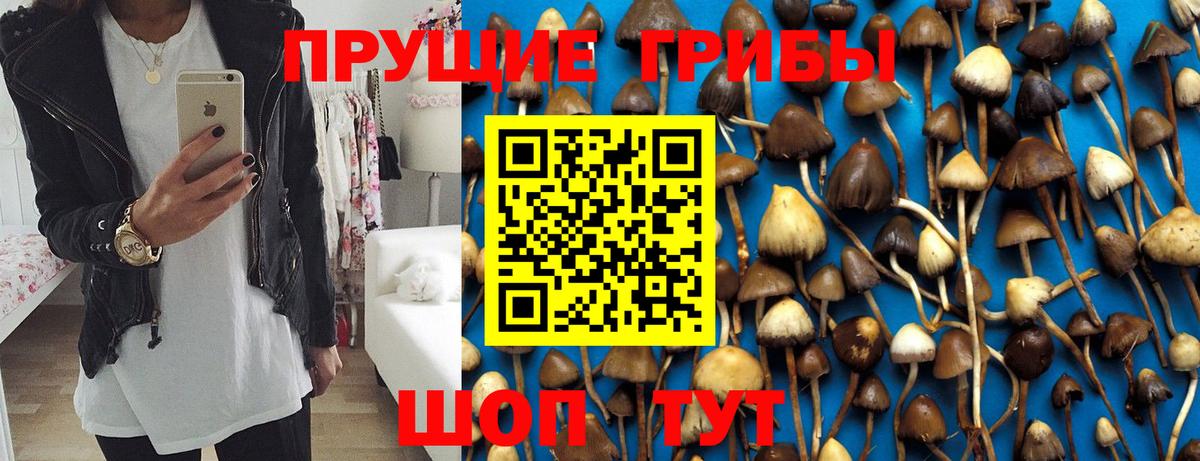 Псилоцибиновые грибы MAGIC MUSHROOMS Серов